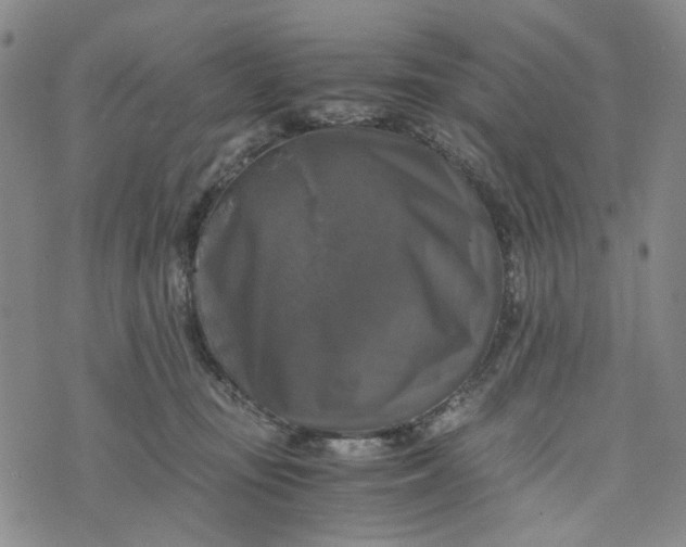 X0000076310371200610161625