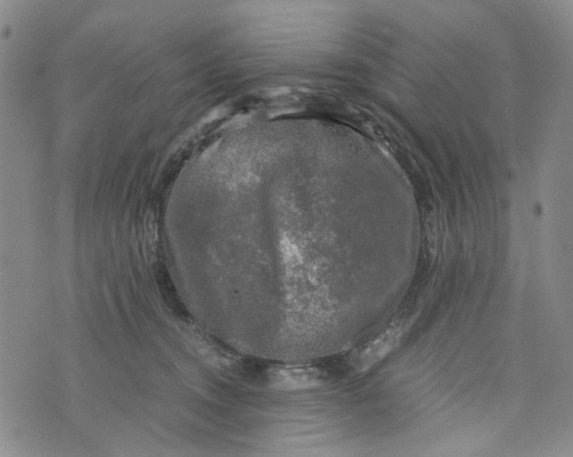 X0000076310372200610161625