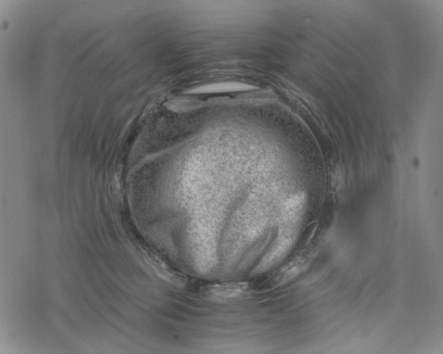 X0000076310373200610161625