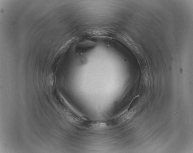 X0000076310374200610161625