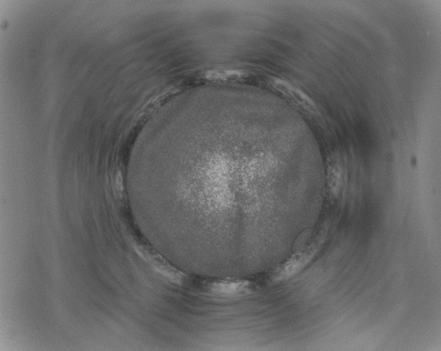 X0000076310375200610161625