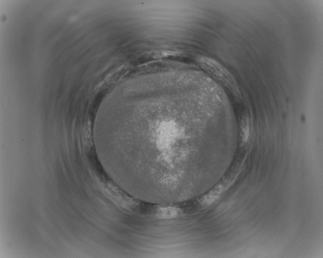 X0000076310376200610161625