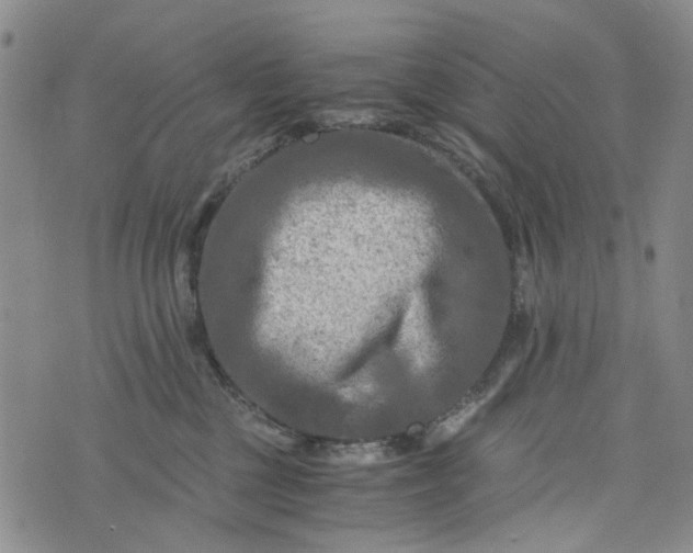 X0000076310377200610161625