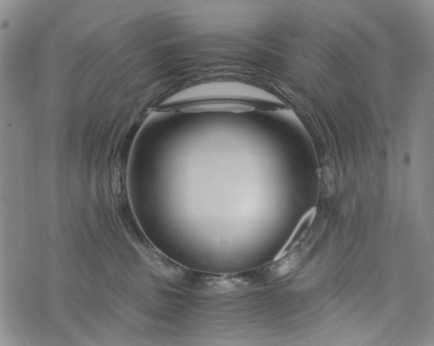 X0000076310379200610161625