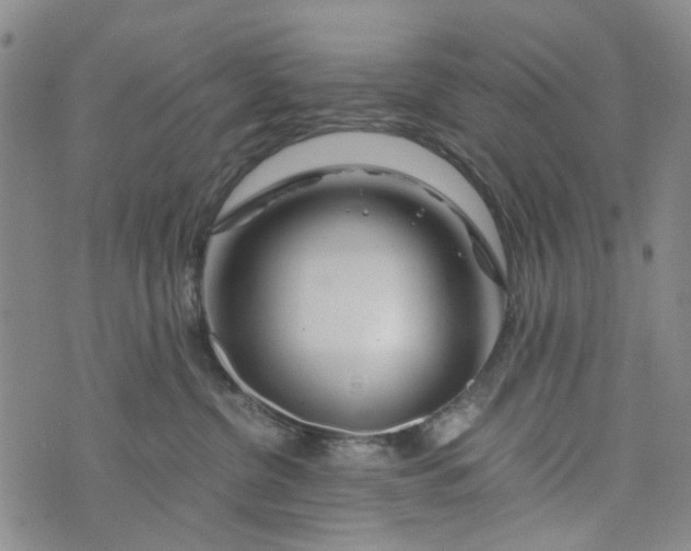 X0000076310380200610161625