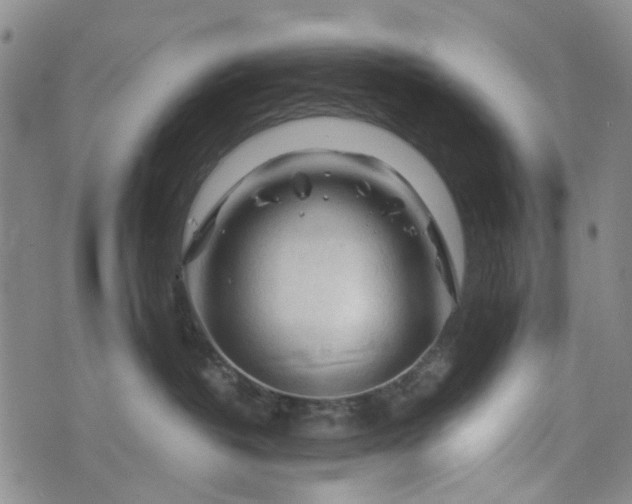 X0000076310382200610161625