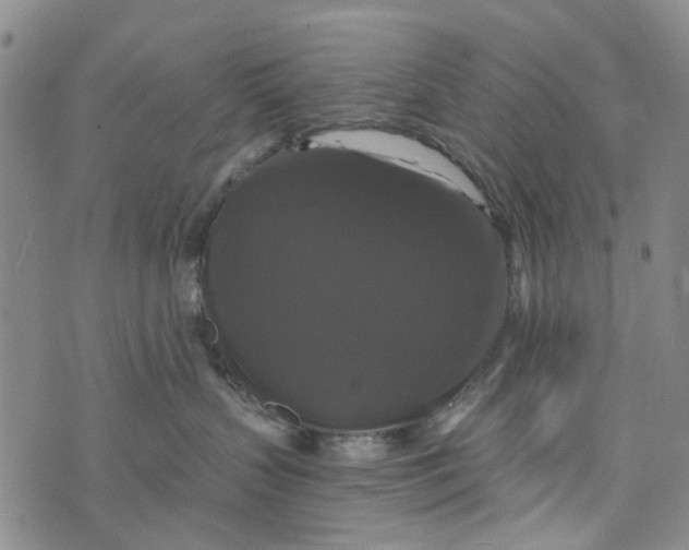 X0000076310383200610161625