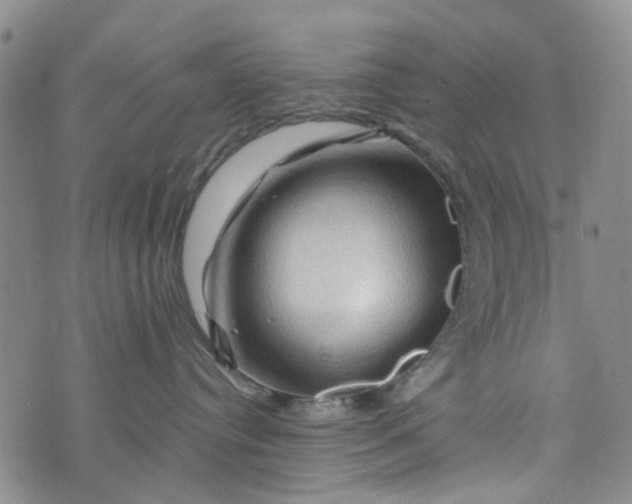 X0000076310384200610161625