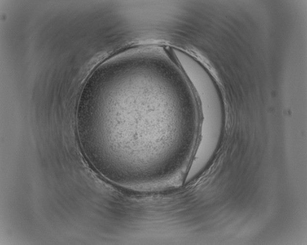 X0000076310385200610161624