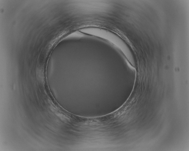 X0000076310386200610161624