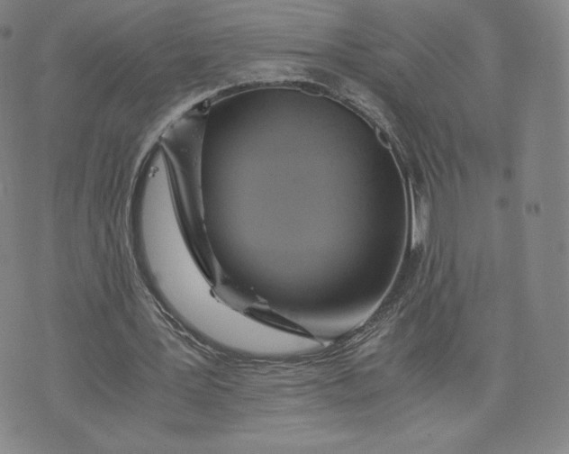 X0000076310387200610161624