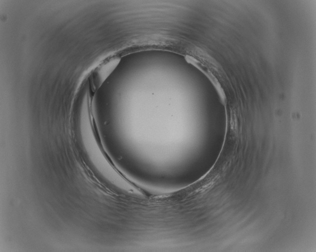 X0000076310388200610161624