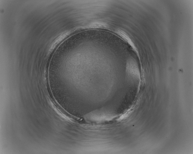 X0000076310389200610161624