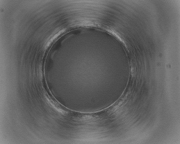 X0000076310390200610161624