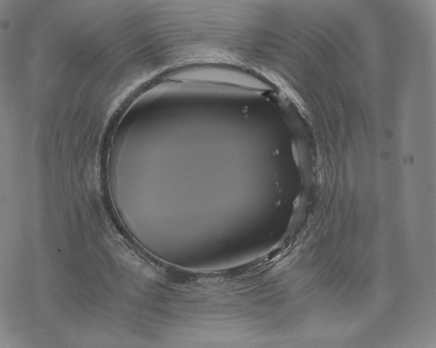 X0000076310391200610161624