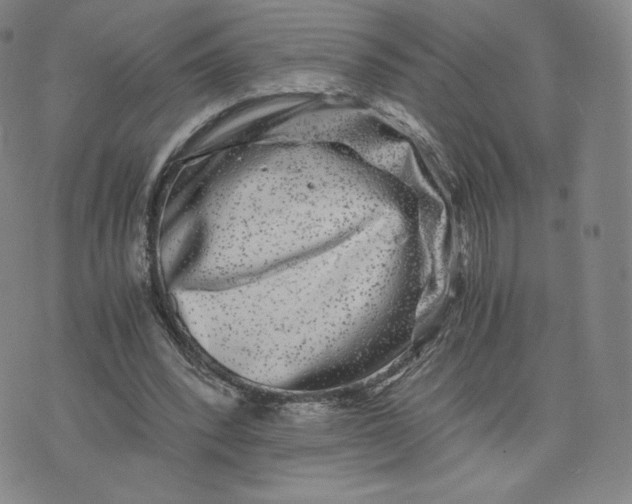 X0000076310392200610161624