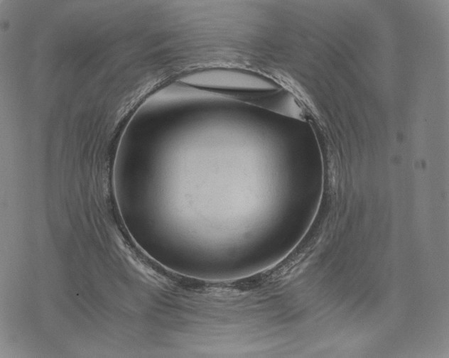 X0000076310393200610161624