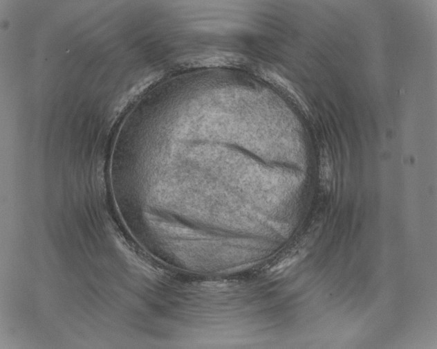 X0000076310394200610161624