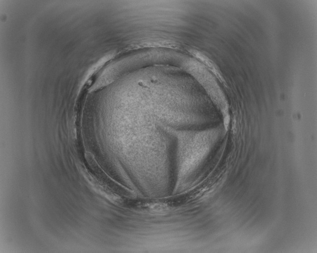 X0000076310395200610161624