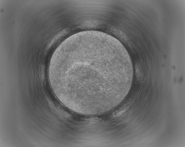 X0000076310396200610161624