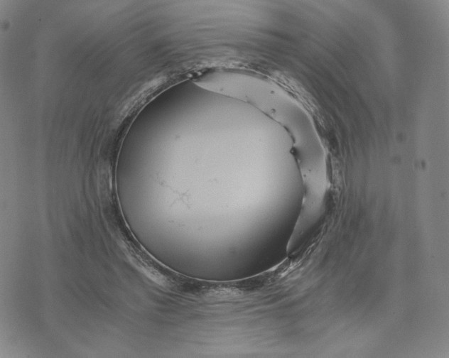 X0000076310397200610161624