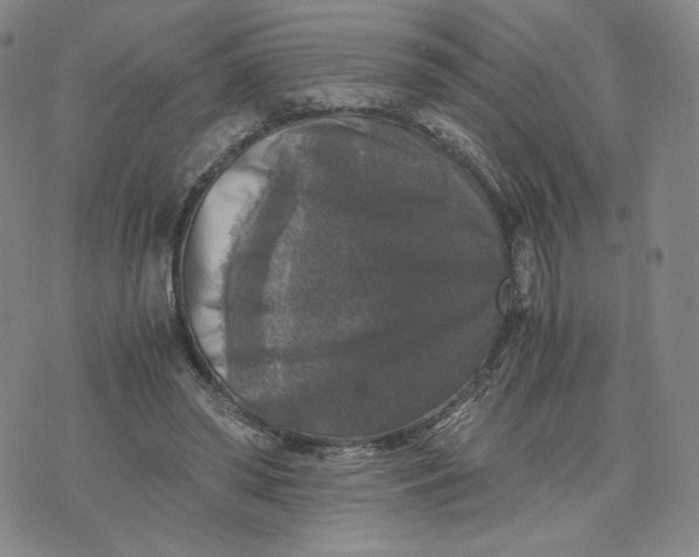 X0000076310398200610161624