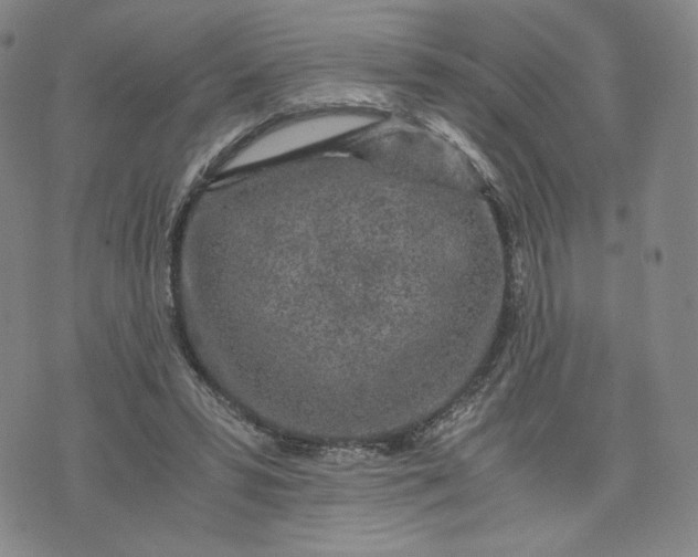 X0000076310399200610161624