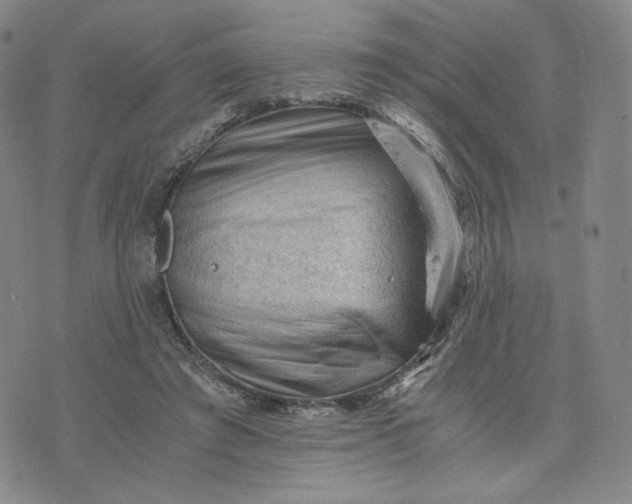 X0000076310401200610161624