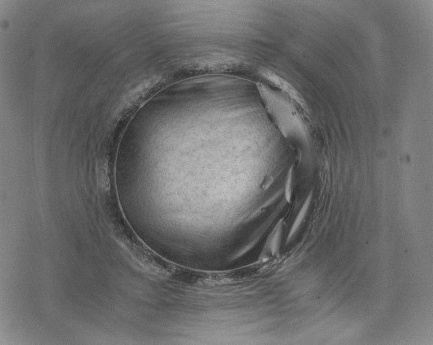 X0000076310403200610161624