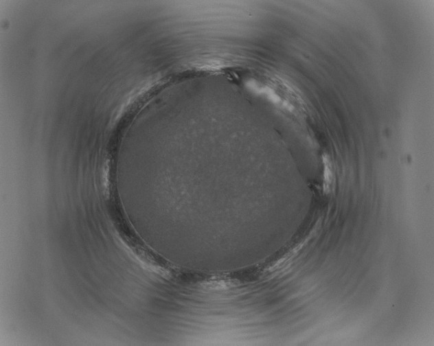 X0000076310404200610161624