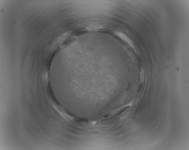 X0000076310405200610161624