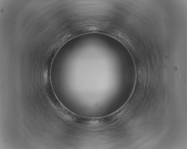 X0000076310406200610161624