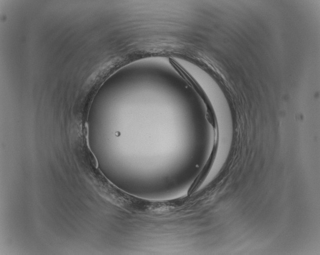 X0000076310407200610161624