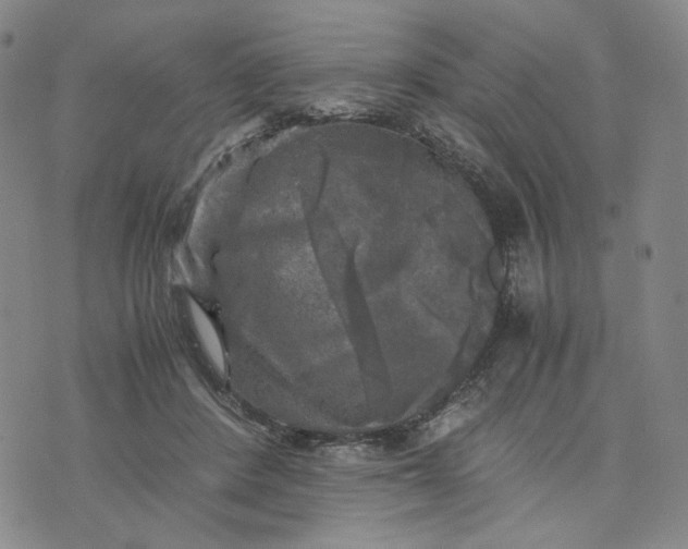 X0000076310408200610161624