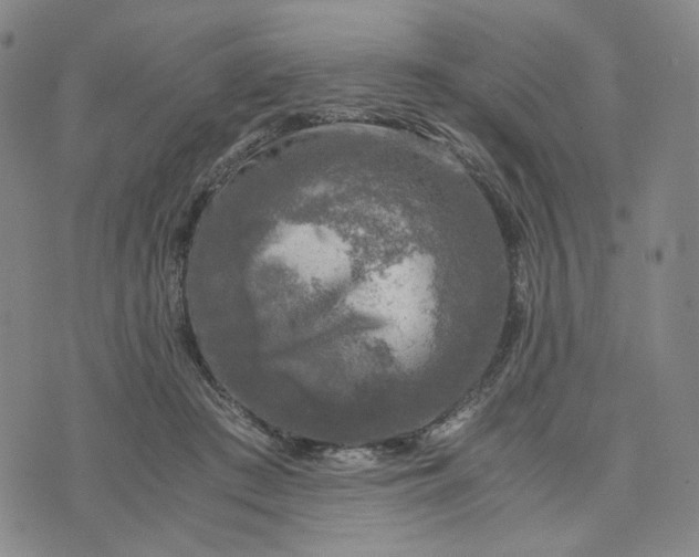 X0000076310409200610161624