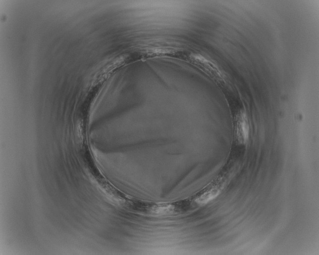 X0000076310410200610161624