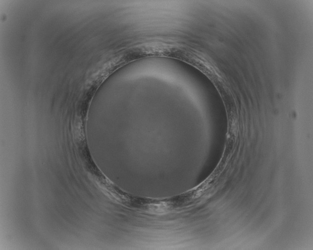 X0000076310411200610161624