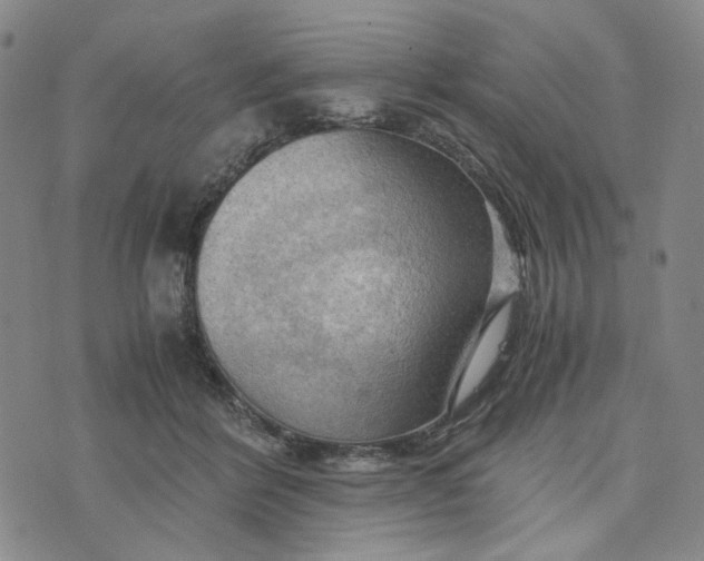 X0000076310412200610161624