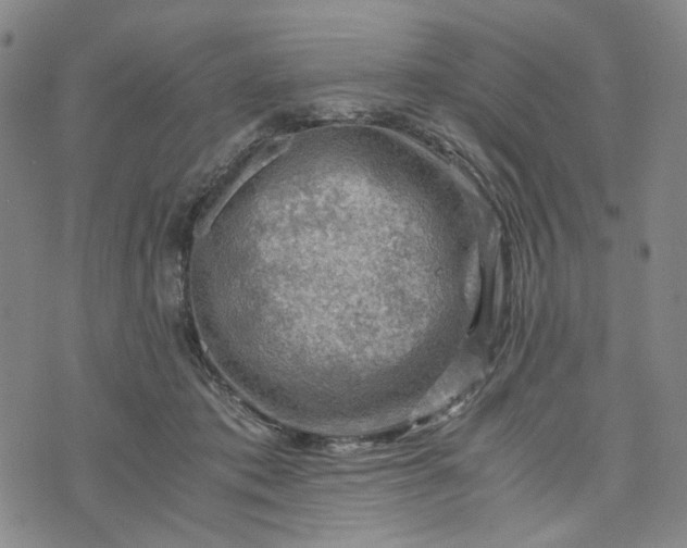 X0000076310413200610161624