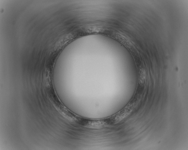 X0000076310414200610161624