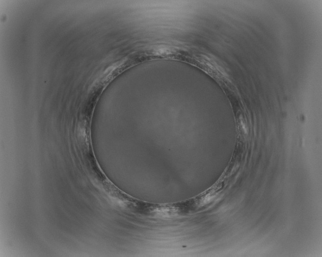 X0000076310415200610161624