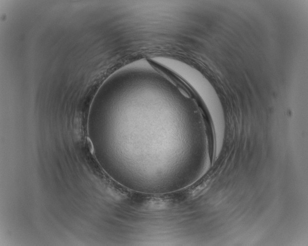 X0000076310416200610161624