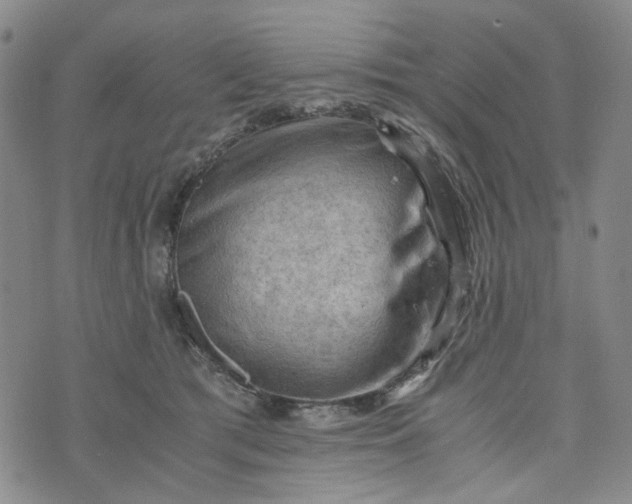 X0000076310417200610161624