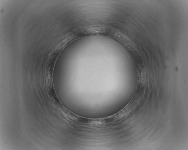 X0000076310418200610161624