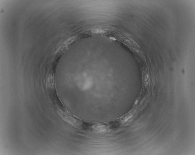 X0000076310419200610161623