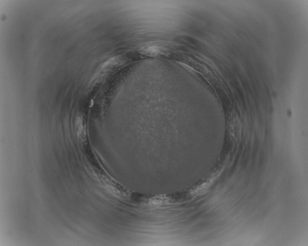 X0000076310420200610161623