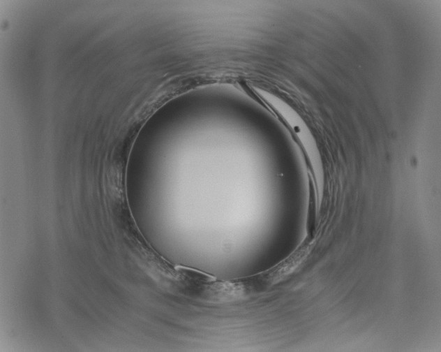 X0000076310421200610161623