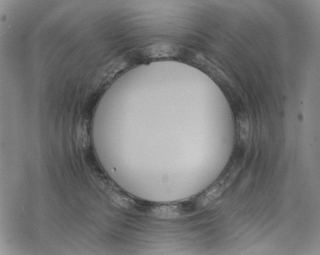 X0000076310422200610161623