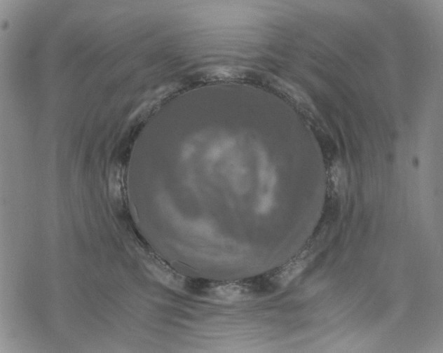 X0000076310423200610161623