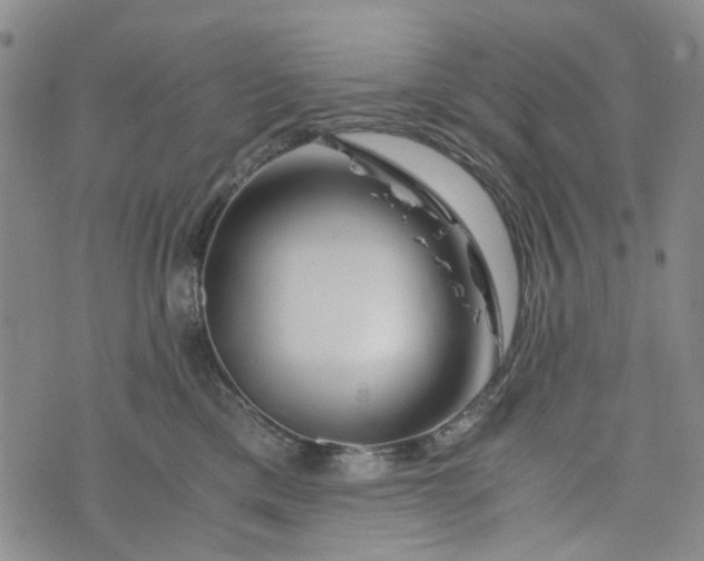 X0000076310425200610161623